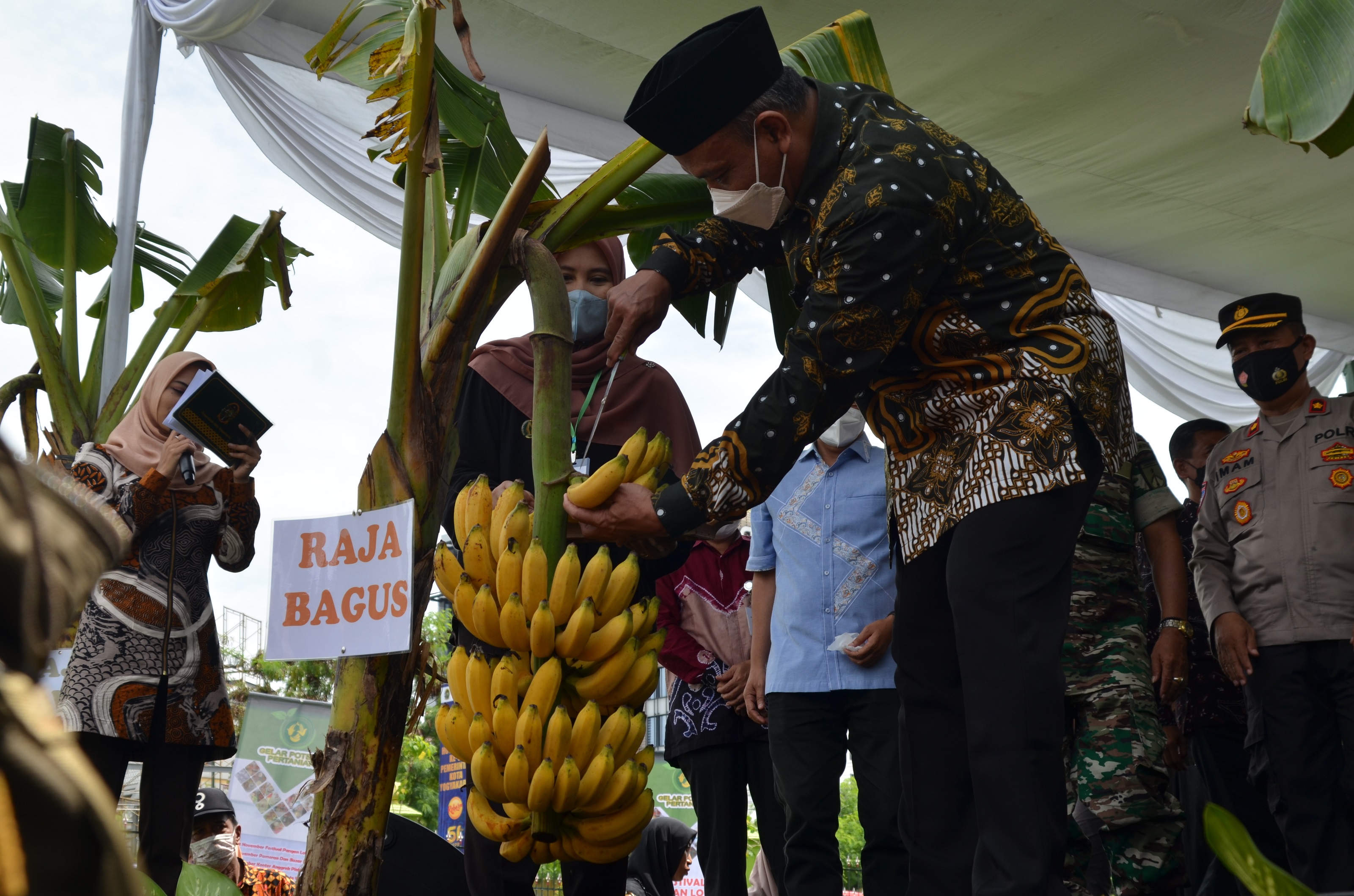 Gelar Potensi Pertanian Kota Yogya, Dorong Ketahanan Pangan Lokal