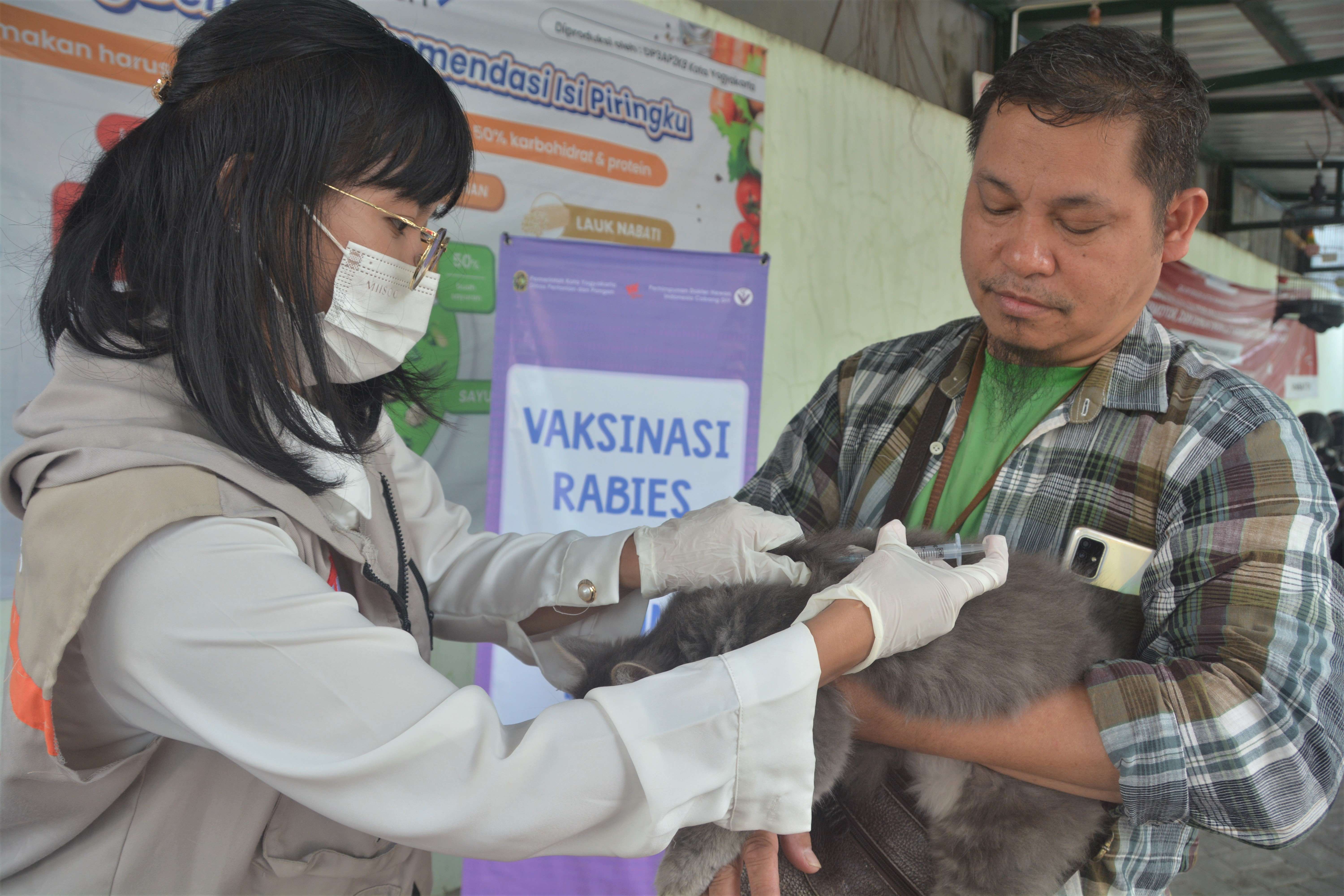 Pemilik Hewan di Yogya Antusias Vaksinasi Rabies Gratis   