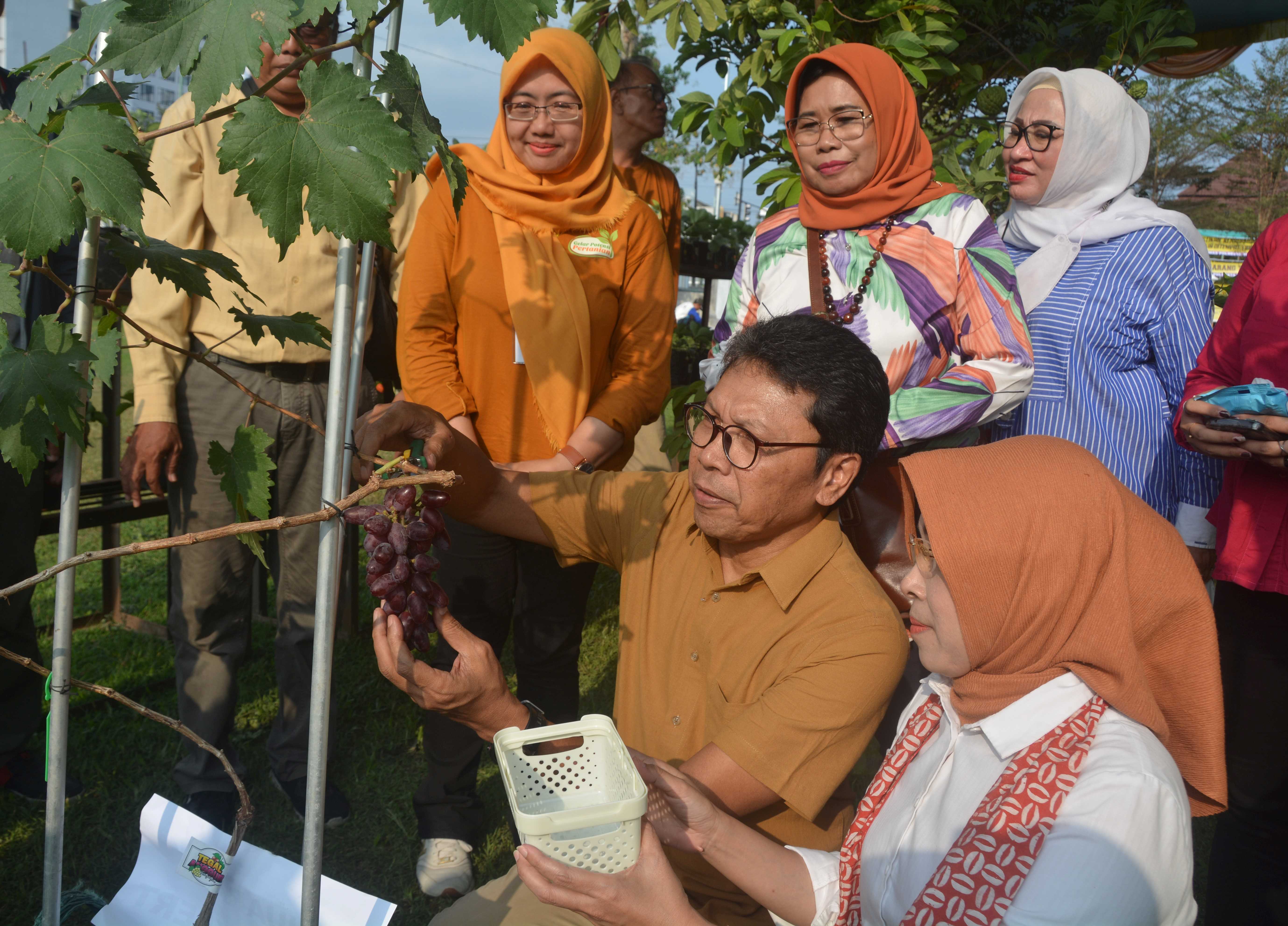 Pengembangan Inovasi Jawaban Tantangan Pertanian Perkotaan