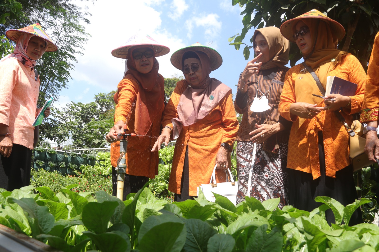 Warga Sorosutan Jadikan Pekarangan Sumber Pangan