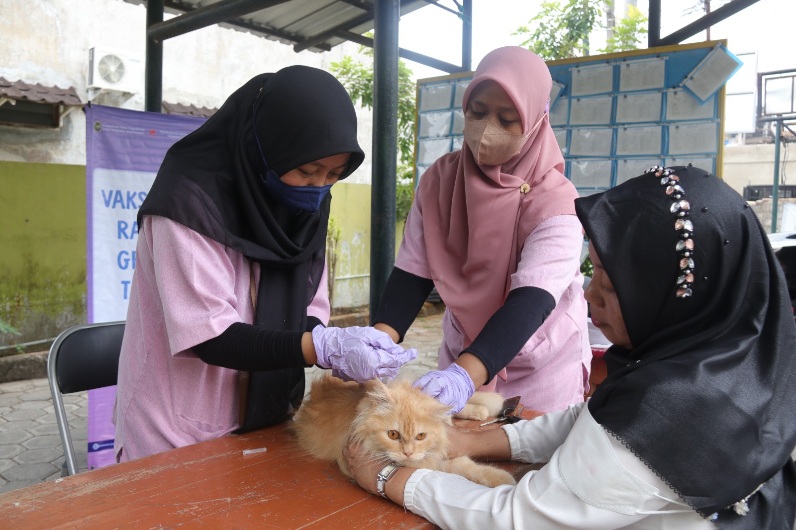 Vaksinasi Rabies Kembali Digelar di Kelurahan