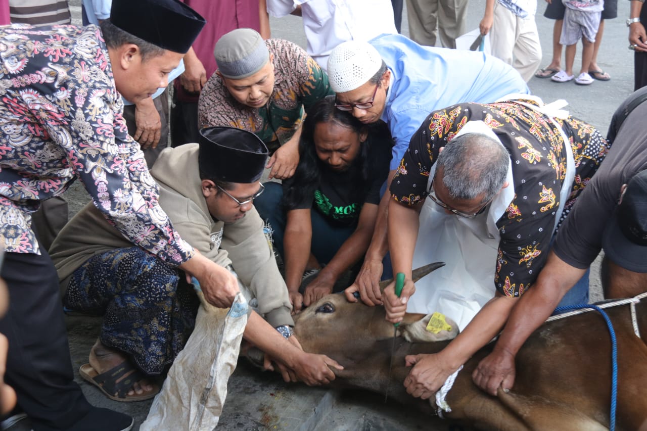 Pemkot Pastikan Hewan Kurban Telah Melalui Proses Pemeriksaan