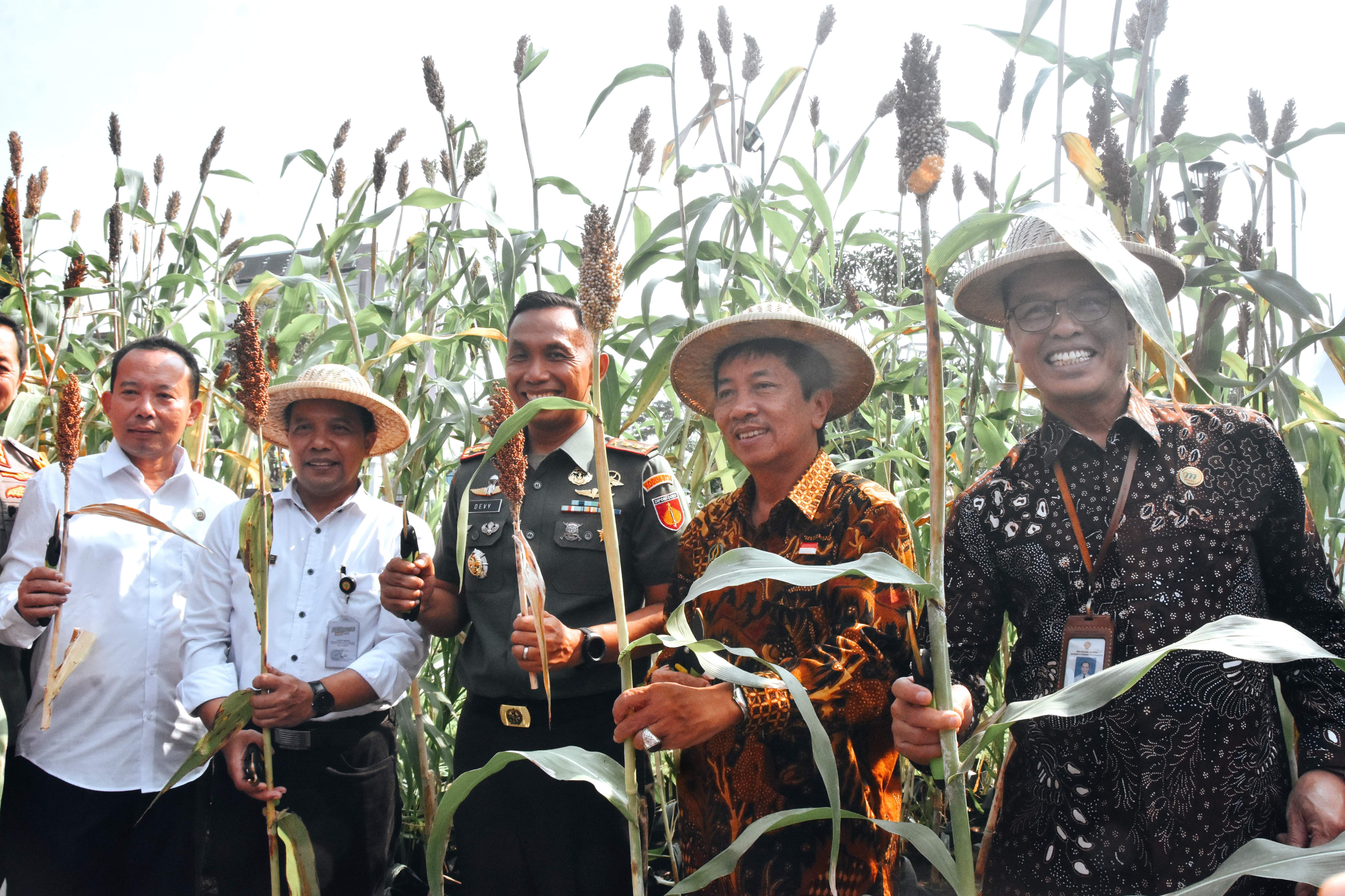 Gelar Potensi Pertanian 2024 Dorong Ketahanan Pangan Lokal Kota Yogya