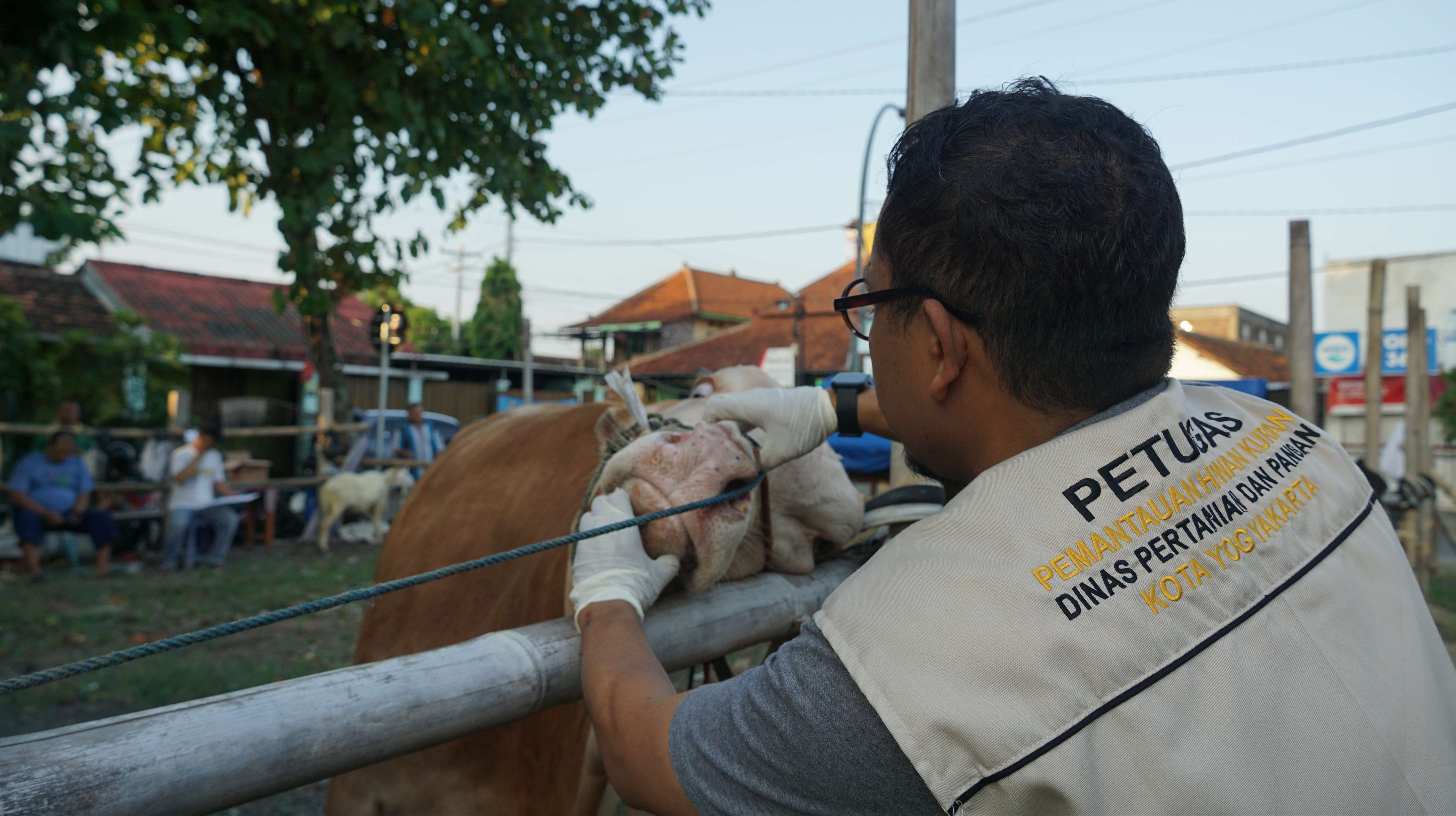 Beri Rasa Aman, Pemkot Yogya Terjunkan 166  Petugas Pemantauan Penyembelihan Hewan Kurban