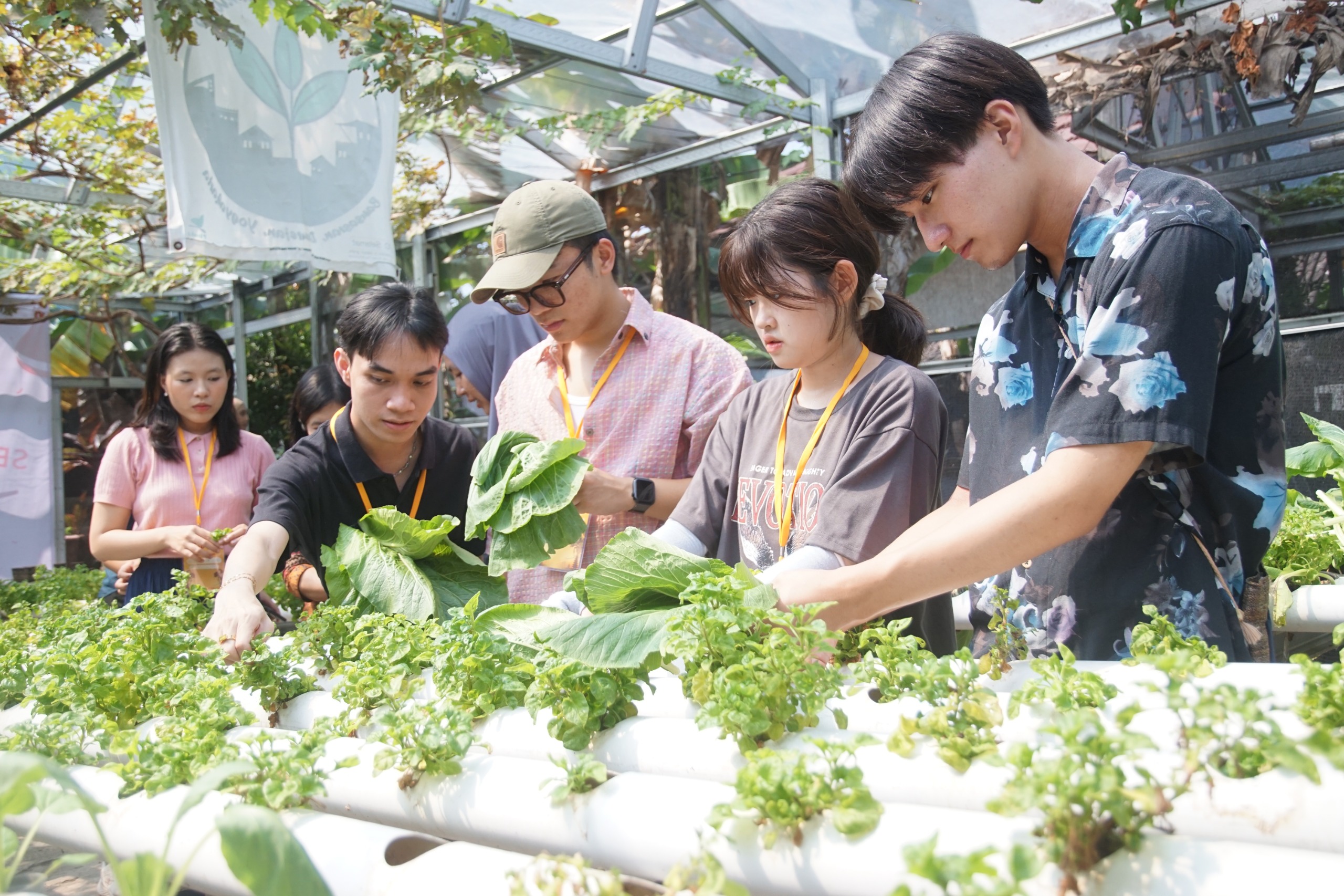 Mahasiswa Cina dan Jepang Kagumi Urban Farming di Kampung Sayur Bausasran