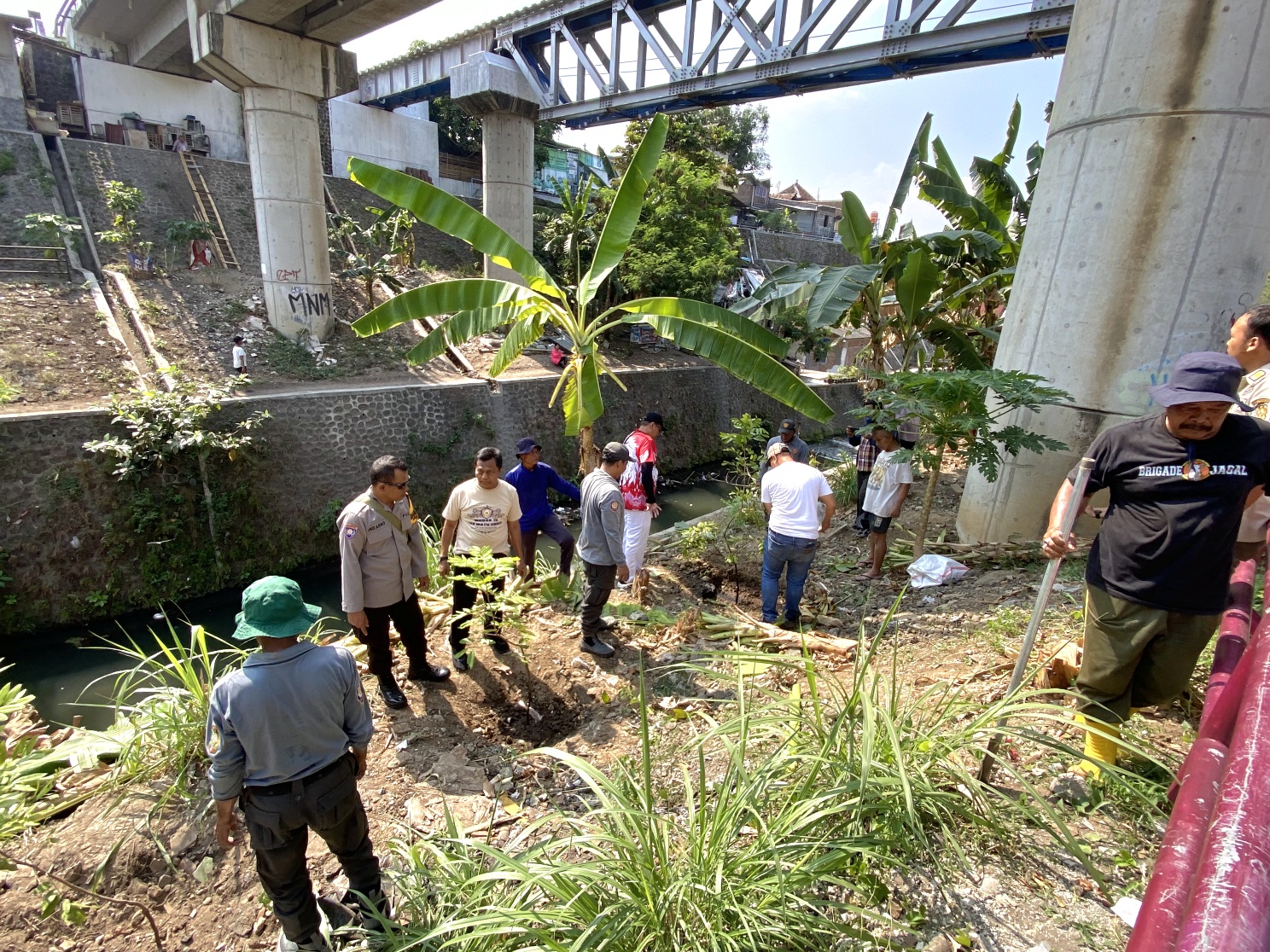 Ratusan Pohon Kelengkeng Siap Hijaukan Bantaran Sungai Winongo